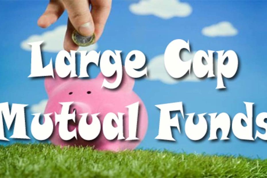 Best Large Cap Equity Mutual Fund To Invest StockManiacs best-large-cap-equity-mutual-fund-to-invest-stockmaniacs