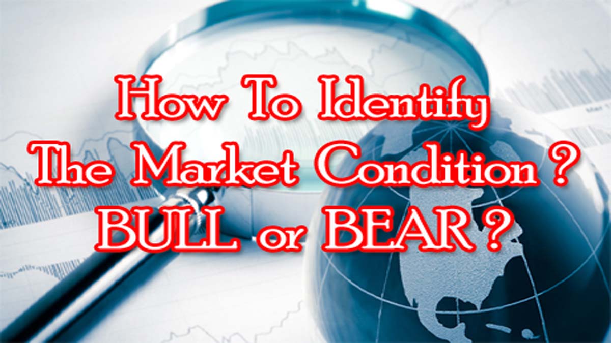 Bull OR Bear