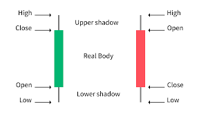 Bullish and Bearish Candle