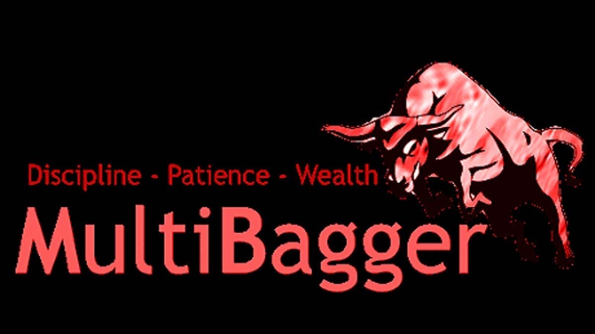 Multibagger Stocks Meaning and How to Identify? StockManiacs