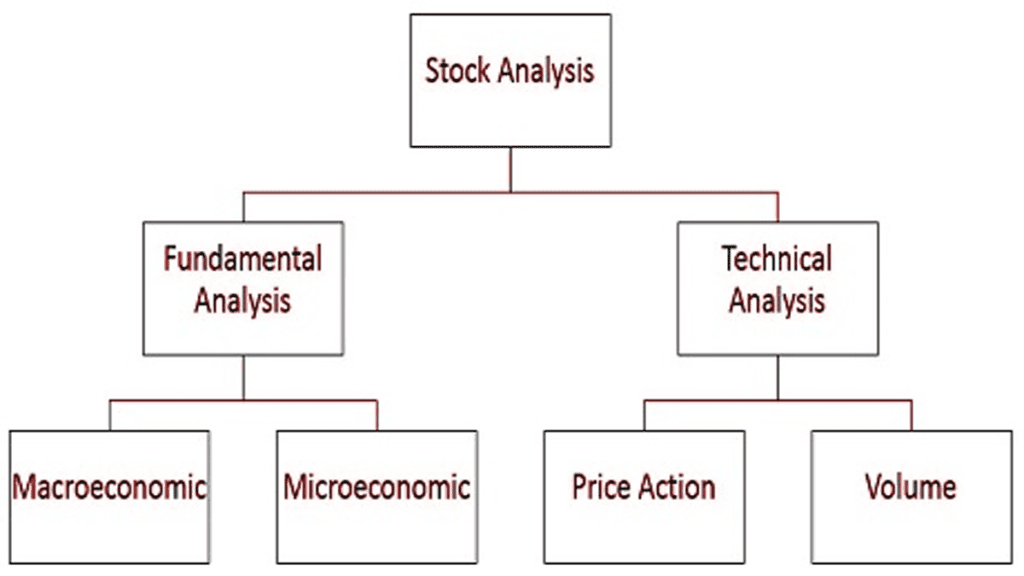 Stock Analysis
