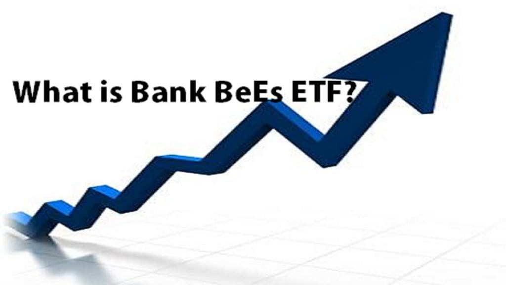 What is Bank BeEs ETF