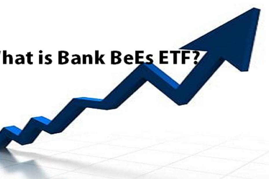 What Is Bank Bees Etf And How To Invest In It Stockmaniacs