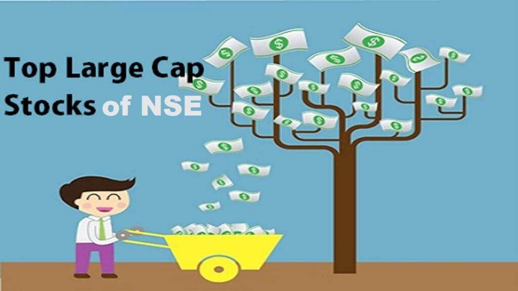 Top Large Cap Stocks on NSE