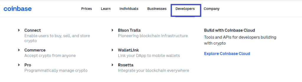 developer