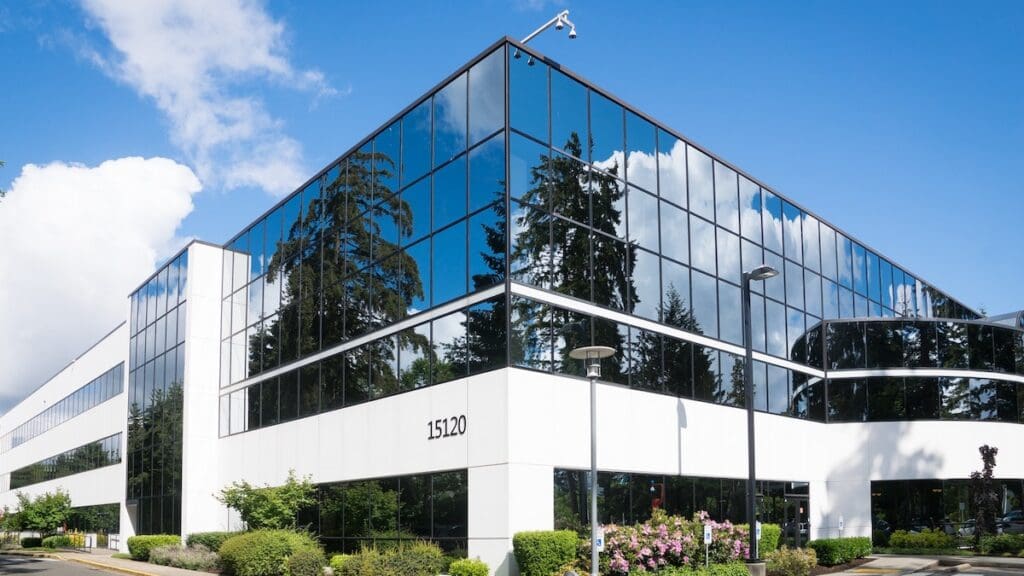 Blue Chip Companies