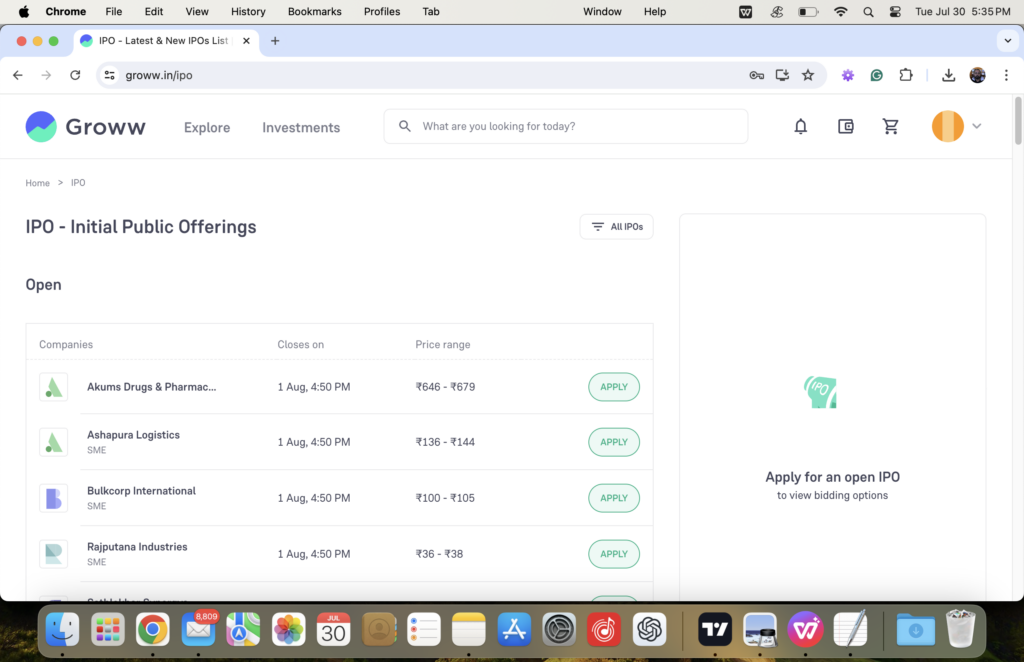 Review of Groww IPO Section